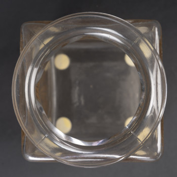 LALIQUE - Vase carré "Myrrhis" 1926